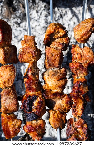 Roasted pork shish kebab on metal stick, close up. Lula kebab on skewers. BBQ party. Picnic in nature.