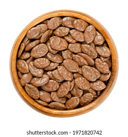 Roasted Pumpkin Seeds, Coated With Milk Chocolate, In A Wooden Bowl. Snack Of Flat Summer Squash Seeds, Lightly Roasted, And Covered With Chocolate. Close-up, From Above, Over White, Macro Food Photo.