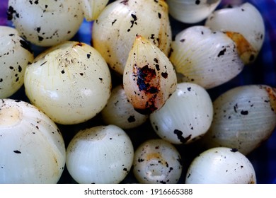 Roasted Small White Onion Seeds