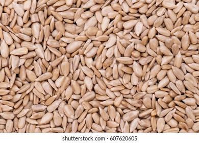 Roasted Sunflower Seeds Background