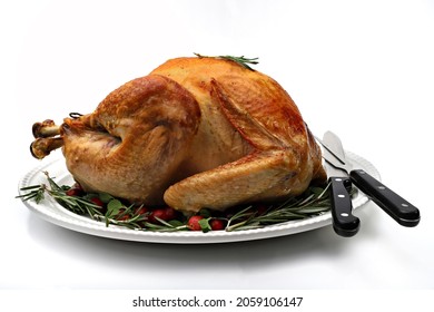 Roasted Turkey Isolated On White, Shallow Focus