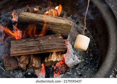 Roasting large marshmallow on a wooden stick over the campfire firepit. Camping family fun