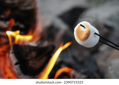 Roasting a marshmallow over a fire