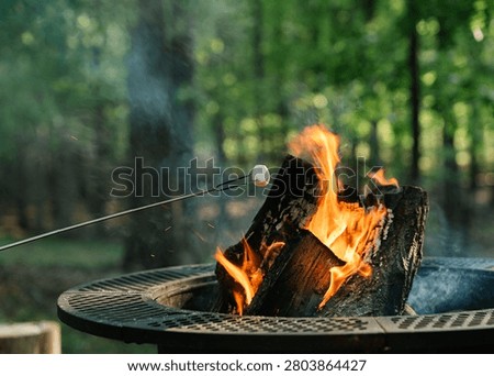 Roasting a marshmallow over a fire pit outside
