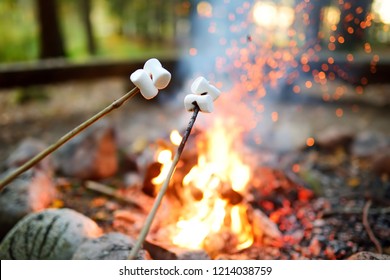 Roasting Marshmallows On Stick At Bonfire. Having Fun At Camp Fire. Camping In Fall Forest.