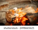 Roasting marshmallows over a campfire. Firepit s