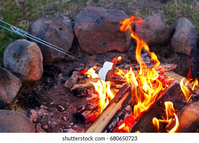 Roasting Marshmallows For Smores Over A Colorful Campfire.