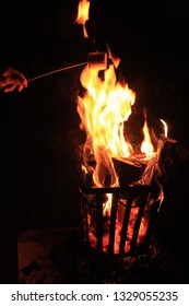 Roasting Marshmallows Two