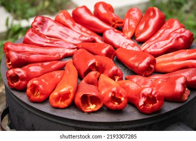 roasting paprika for winter provisions red organic peppers on the stove oven to be turned into ajvar a tasty spread popular in the Balkans Serbia Macedonia Bosnia and Croatia