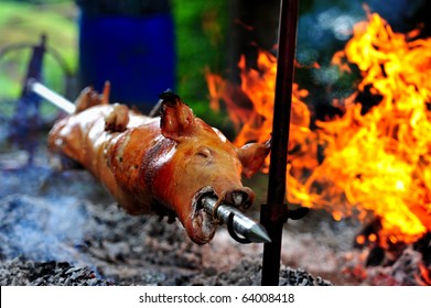Roasting piglet on the split firewood