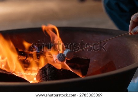 Roasting two sweet marshmallows over a cozy backyard fire pit