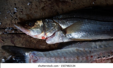 Robalo Fish Ready To Prepare