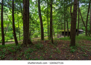 Summer Cabin Images Stock Photos Vectors Shutterstock