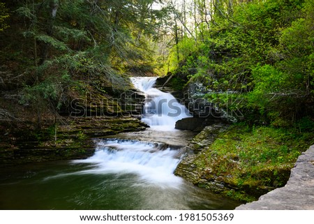 Robert Treeman Falls in Upstate New York
