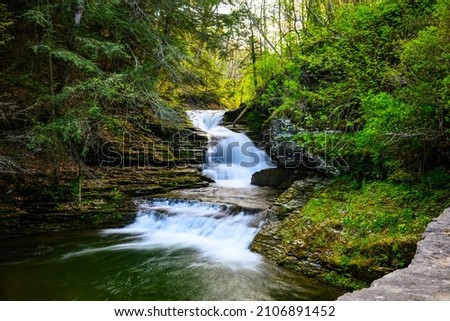 Robert Treeman Park Stream Waterfall