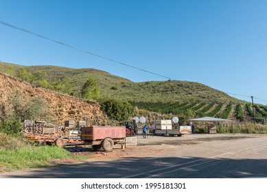 ROBERTSON, SOUTH AFRICA - APRIL 8, 2021: Farm Scene On The De Hoop Road Near Robertson In The Western Cape Province. Vehicles, Farm Workers And A Citrus Orchard Are Visible