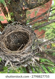 Robin Nest- it feels empty when nobody around 