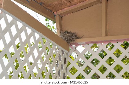 Robins Birds Nest In Kids Backyard Playhouse