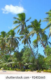 Robinson Crusoe Island Fiji Stock Photo 92402665 | Shutterstock