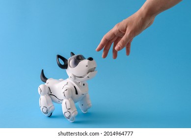 Robot dog pet on light blue background with human hand - Shutterstock ID 2014964777