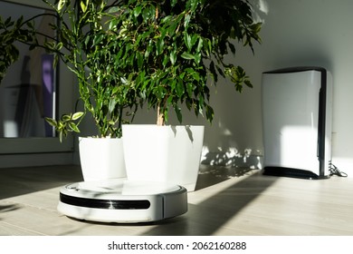 Robot Vacuum Cleaner And Air Purifier. Health Microclimate At Home Concept