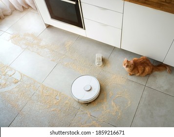 Robot vacuum cleaner cleaning the room with dirty floor. Smart home. To rule vacuum with remote control. Smart home concept. modern household wireless device. Ginger cat watching on his fault.
