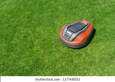 Robotic Lawn Mower In Garden