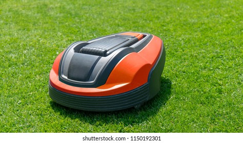 Robotic Lawn Mower On Grass