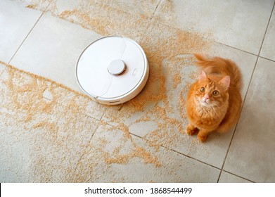 Robotic vacuum cleaner on the floor with a surprised ginger cat