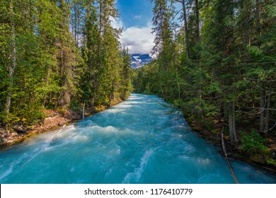 Robson River Near Mount Robson - British Columbia, Canada