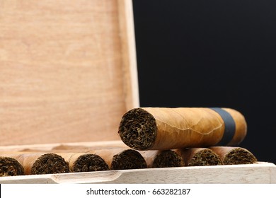 Robusto Cigar With Light Wrapper And Black Ring On Cigar Box With Black Background.