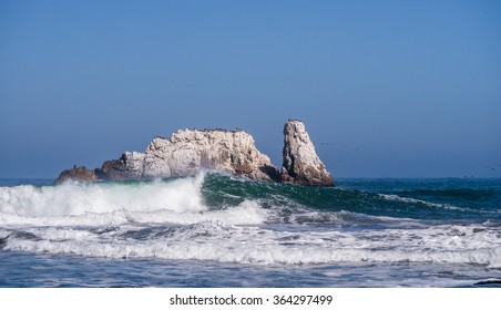 Calabacillo Imagenes Fotos De Stock Y Vectores Shutterstock