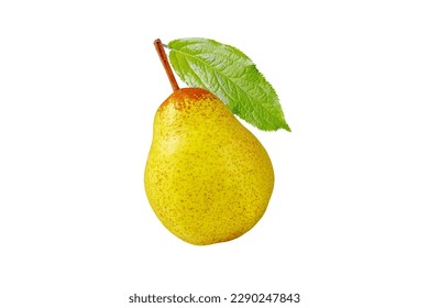 Rocha pear whole fruit isolated on white. Yellow green spotted pear and green leaf. - Shutterstock ID 2290247843