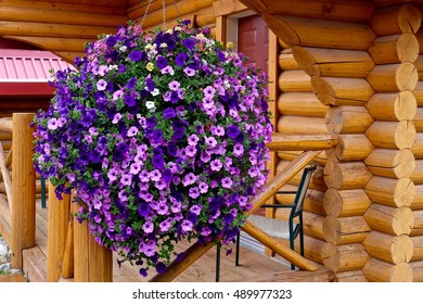 Pocahontas Cabins Jasper Images Stock Photos Vectors Shutterstock