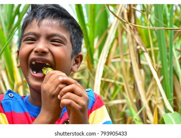 1,186 Mauritius Boy Images, Stock Photos & Vectors | Shutterstock