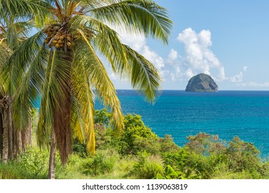 Martinique Island High Res Stock Images Shutterstock