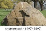 Rock