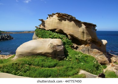     rock                               