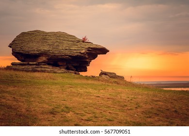 a rock