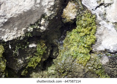 rock