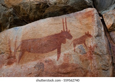 Rock Art - Tsodilo Hills