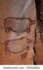 Rock Art - Tsodilo Hills