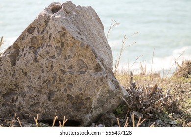 Rock by the Ocean