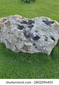 The Rock: The central focus of the image is a large, irregularly shaped boulder. It has a rough, highly weathered texture characterized by numerous natural holes, pits, and deep indentations across its surface, giving it a porous or sponge-like appearance. The coloration of the rock is a mixture of light beige, grey, and brown earthy tones, with darker patches—possibly from moisture, aging, or mineral deposits—accentuating the hollowed-out cavities.
​The Background and Surroundings: The rock sits directly on a well-maintained lawn covered in vibrant green, short-cut grass. The grass completely surrounds the base of the boulder. In the upper background, the lawn extends slightly out of focus, and a small green plant can be faintly seen at the top center.
​Lighting: The photo is taken under bright, diffused natural daylight, which highlights the complex, craggy details and textures of the rock's surface while casting soft shadows within its many crevices.