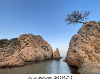 Rock cliffs  with the pine and small bay on a seacoast in summer. Mediterranean Sea. Travel stock photo. Famous travel destinations. Family vacations. Romantic travel trips 