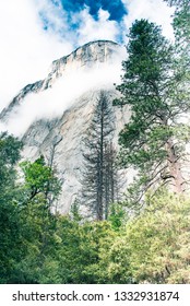 Rock Climbing El Capitan - Yosemite Valley National Park, California, USA. The Nose - World Famous 900 M Tall Granite Wall With Rock Climber Silhouettes. Foggy View From Cathedral Spires.