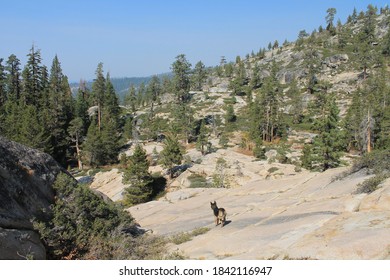 Rock Climbing At Eldorado National Forest