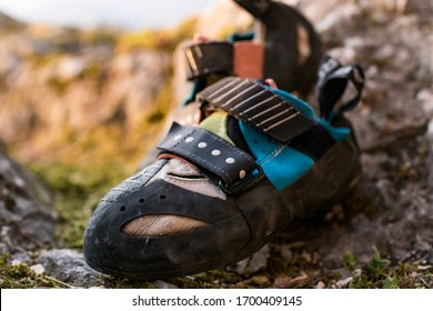 Rock Climbing Shoes On A Stone