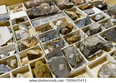 Rock core samples a geological laboratory Photo stock © 