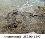 Rock covered in algae in Matara Beach lagoon under sunlight.